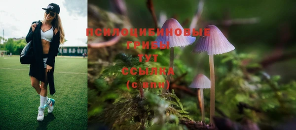 PSILOCYBIN Балабаново
