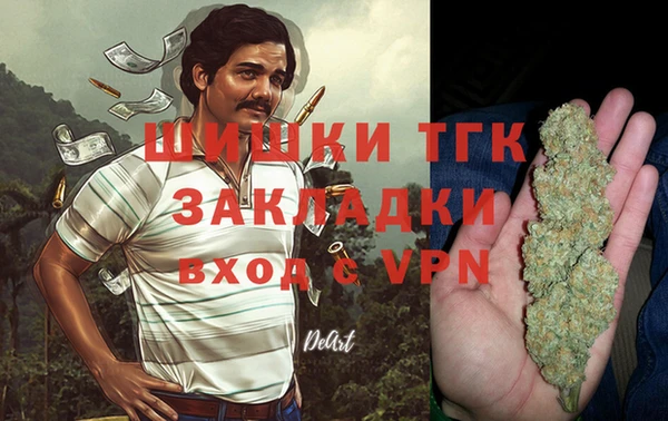 PSILOCYBIN Балабаново