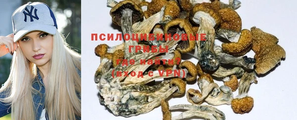 мяу мяу мука Арсеньев